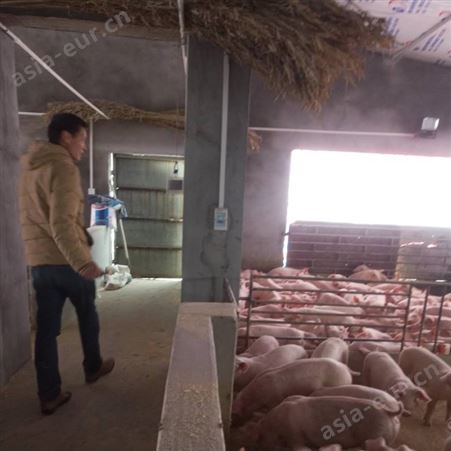 猪场地暖空气能热泵 猪舍保育采暖设备 黄冈养殖取暖恒温降温养猪设备
