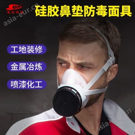 思创 ST-FDG防毒半面具防异味有机无机氨气酸性气体防护面罩