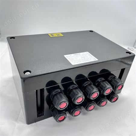 BXJ防爆防腐接线盒 BXJ8050-S-20/20粉尘防爆箱 增安型端子箱