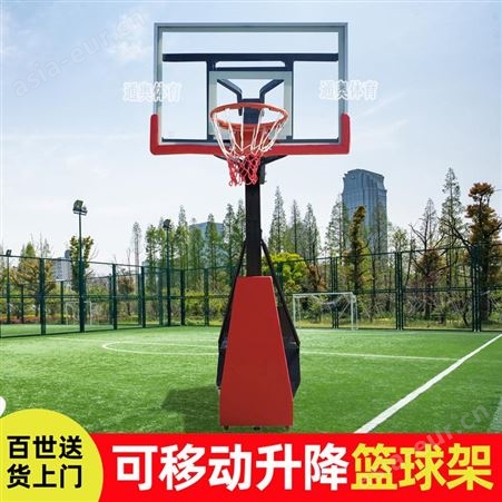 幼儿园可升降移动幼儿园户外标准休闲青少年篮球架 通奥体育