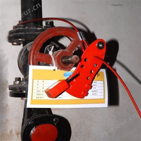 duuke/都克 C12 经济型钢缆锁具（鱼型）安全缆绳锁