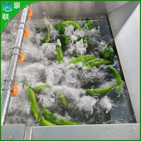 天麻人参清洗风干流水线 韭菜自动清洗机 果蔬气泡清洗机器