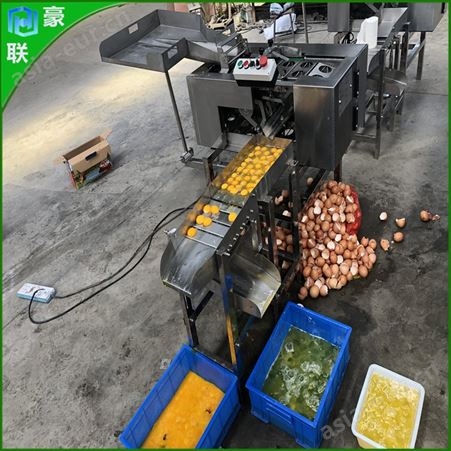 双排打蛋去皮机 蛋液分离器烘焙食品厂专用 商用蛋黄蛋清分离机